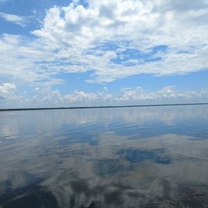 Meet your Posher, Lynn